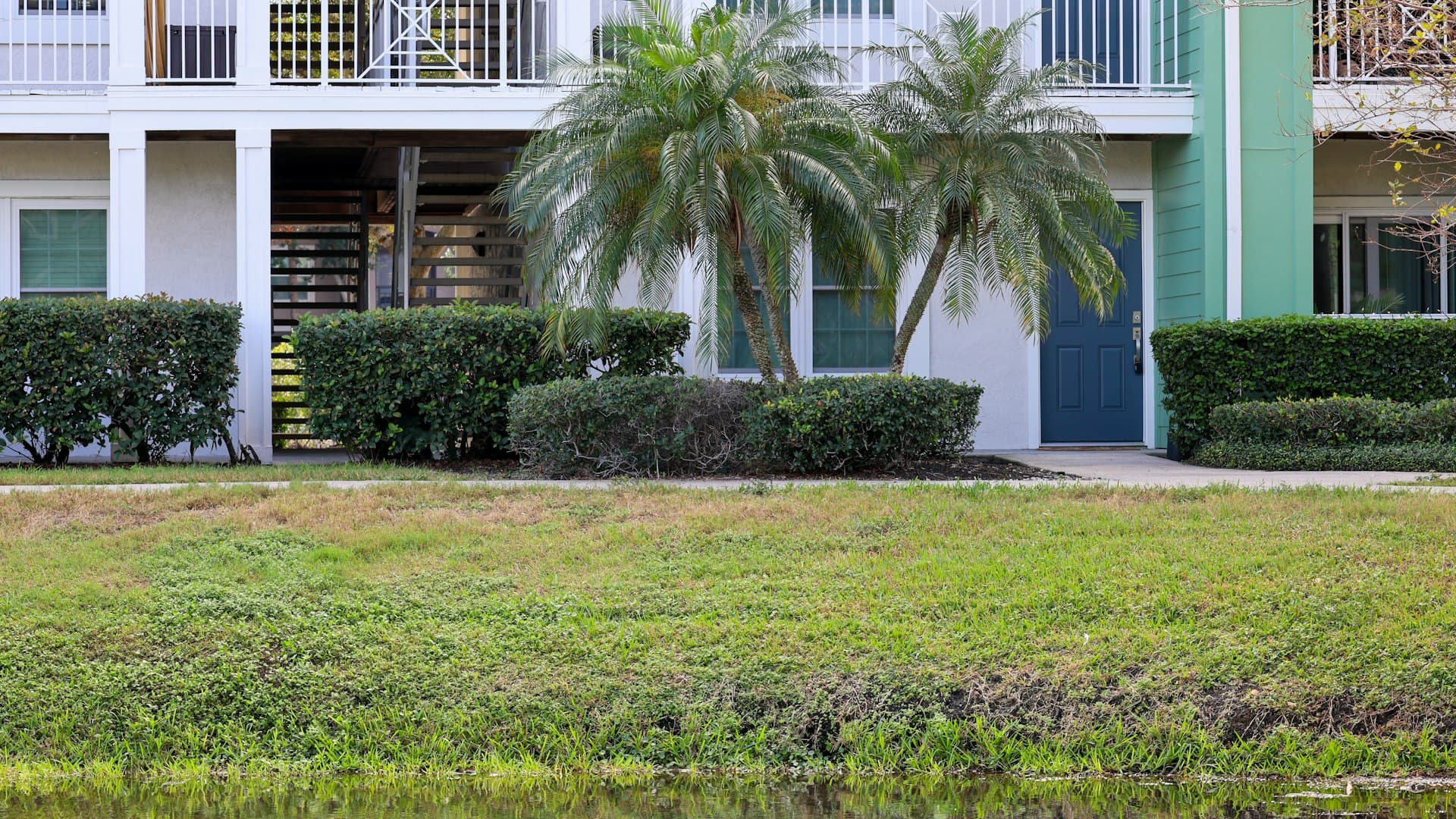 Palm trees in front of a residential building in Florida